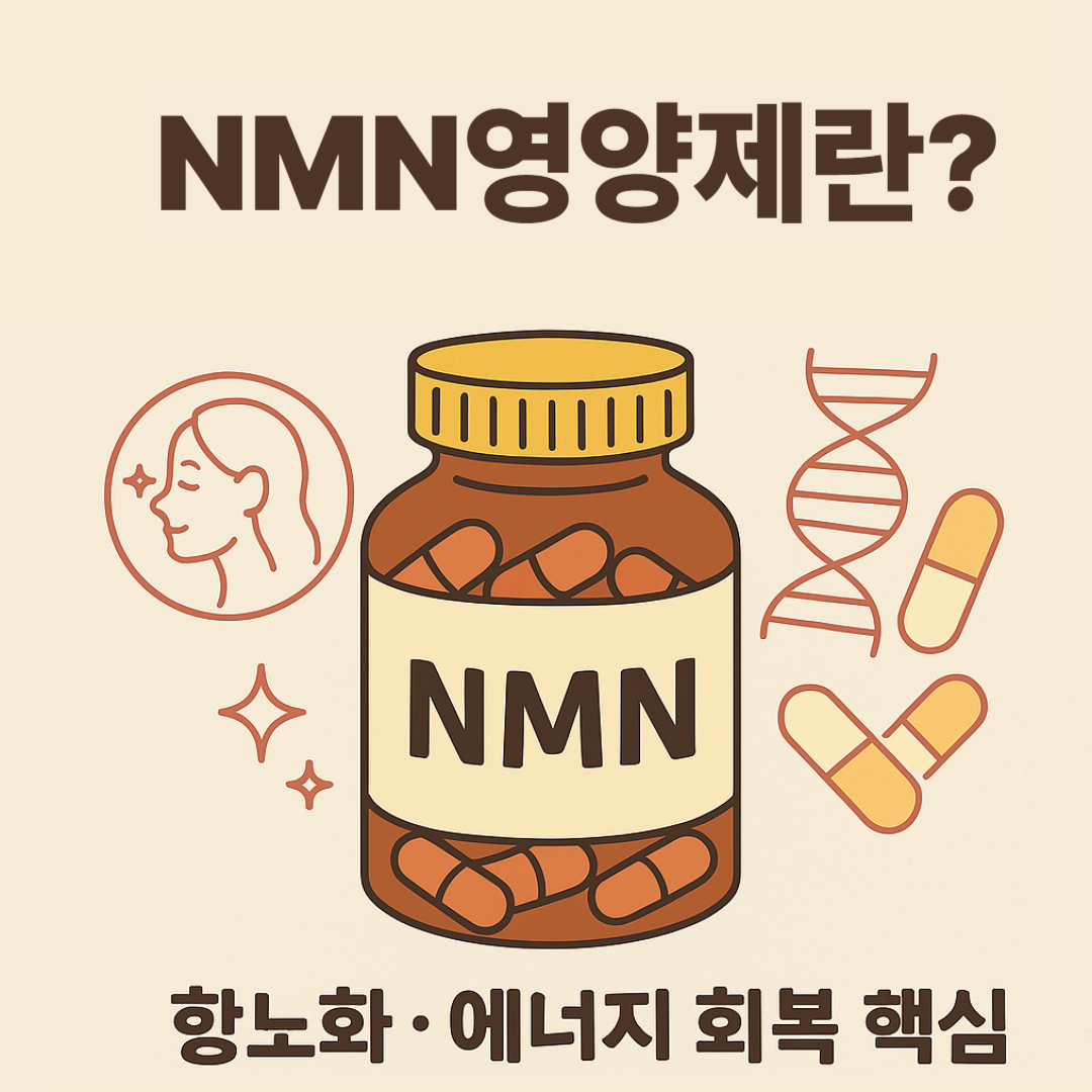 nmn영양제에 대한 글 썸네일 이미지