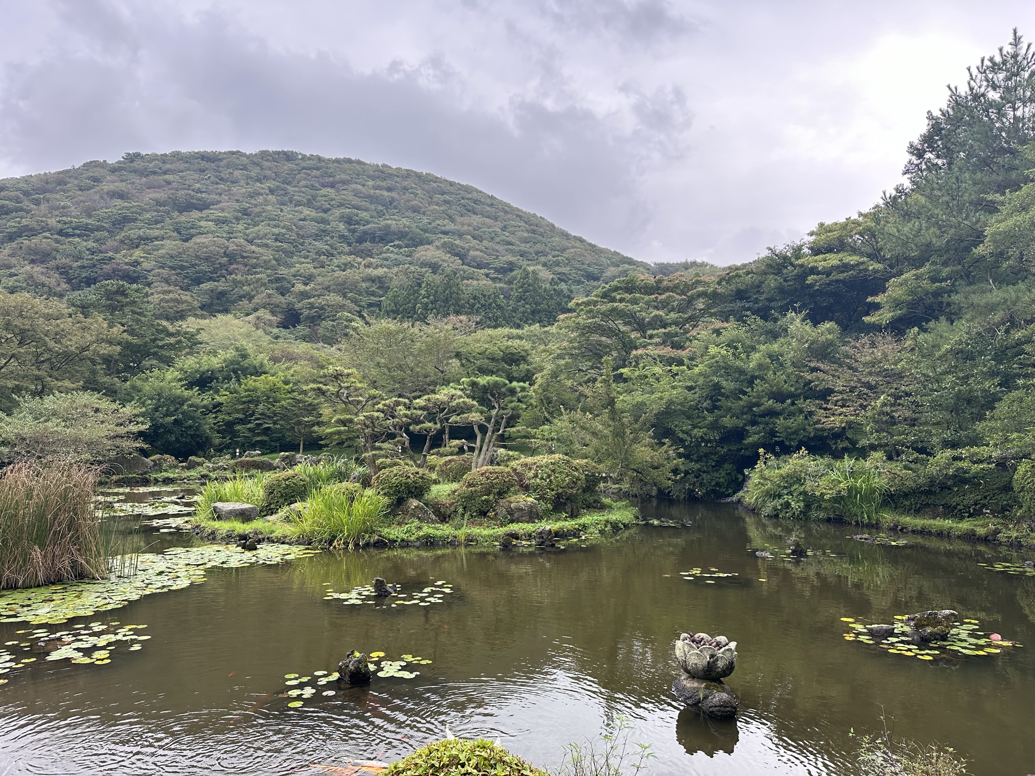 절물 휴양림 연못