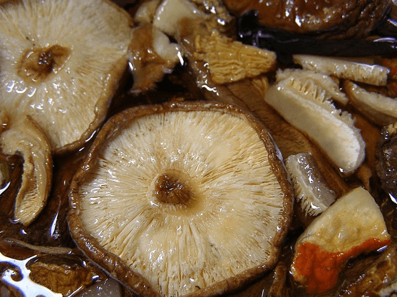 물에 담근 표고버섯으로 둥그런 갓의 뒷면이 위로 올라가 있고 길게 썰어진 갓들도 옆에 있다.