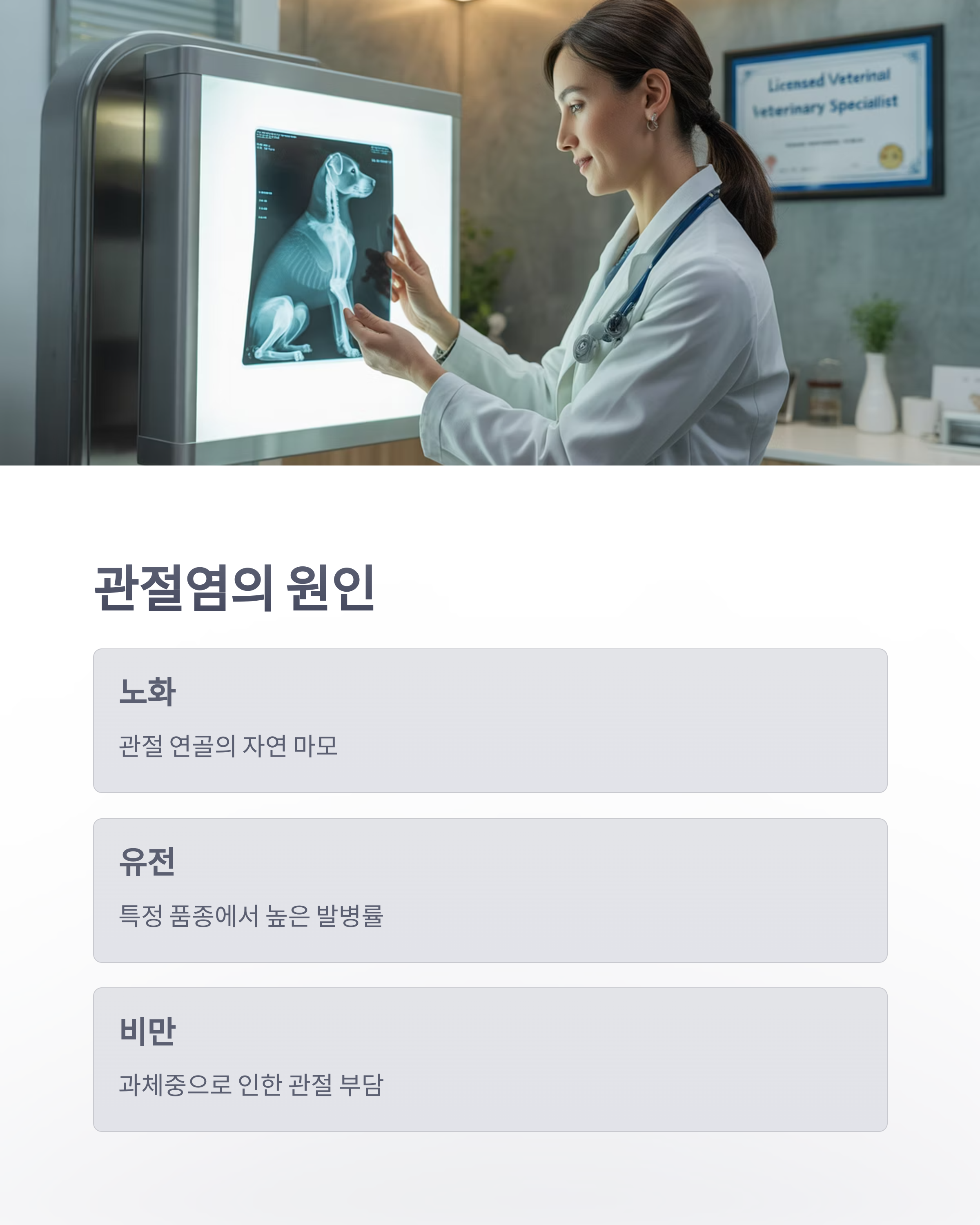 참조-반려동물-관절염-3