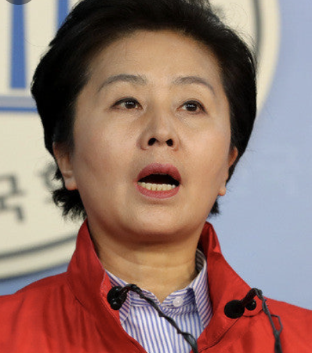 김영선 국회의원 프로필 김영선 오세훈 연애편지 구속 남편 가족