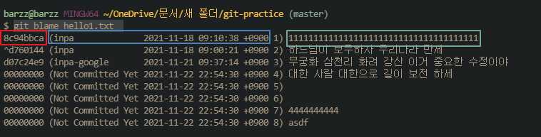 git blame
