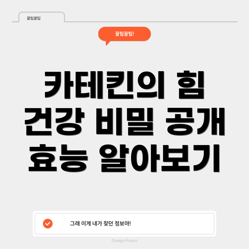 카테킨 효능