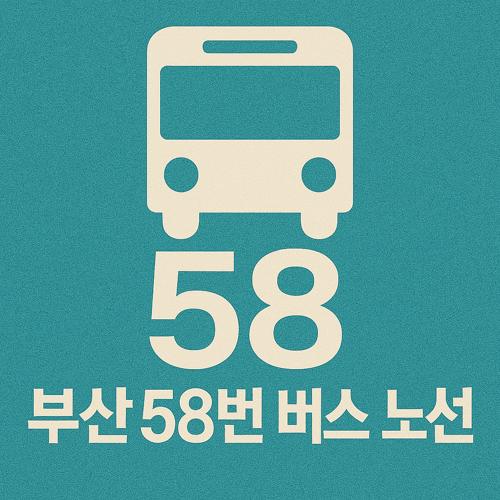 부산 58번 버스 노선 섬네일