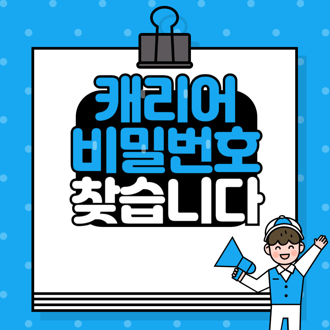 캐리어 비밀번호