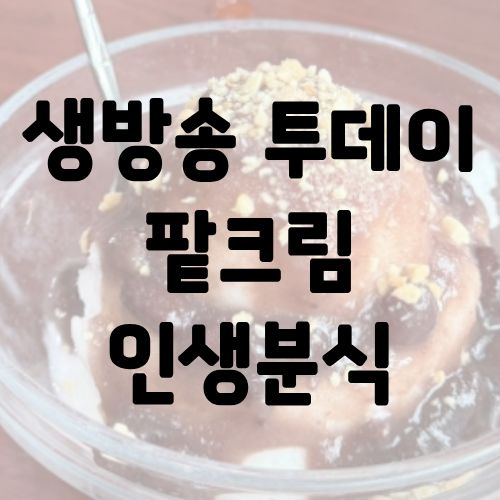 생방송 투데이 팥크림 인생분식