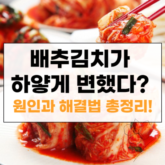 배추김치가 하얗게 되는 증상 썸네일