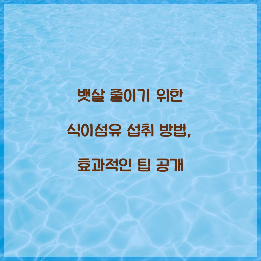 뱃살 줄이기 위한 식이섬유 섭취 방법