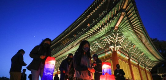 창경궁 물빛연화