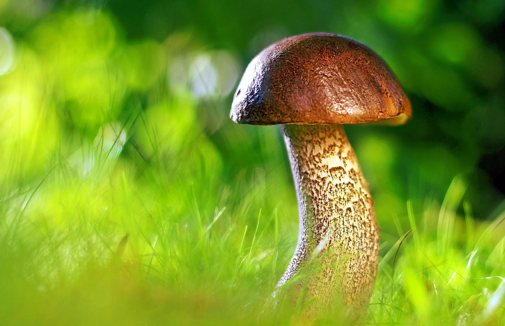 돈보다 중요한 것은 ‘하루를 통제하는 힘’이다