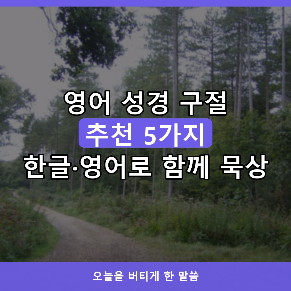 영어 성경 구절 추천 5가지, 한글·영어로 함께 묵상하는 힘이 되는 말씀