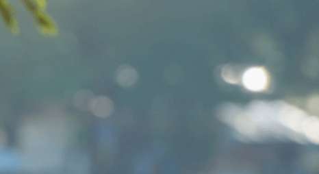 고지혈증증상케어명상