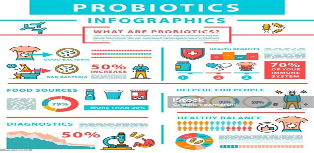 장 건강을 위한 유익균(프로바이오틱스, 포스트바이오틱스)의 작용 과정을 설명하는 인포그래픽