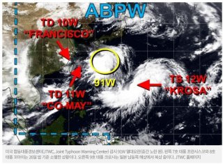 11호 태풍 버들 뜻 유래
