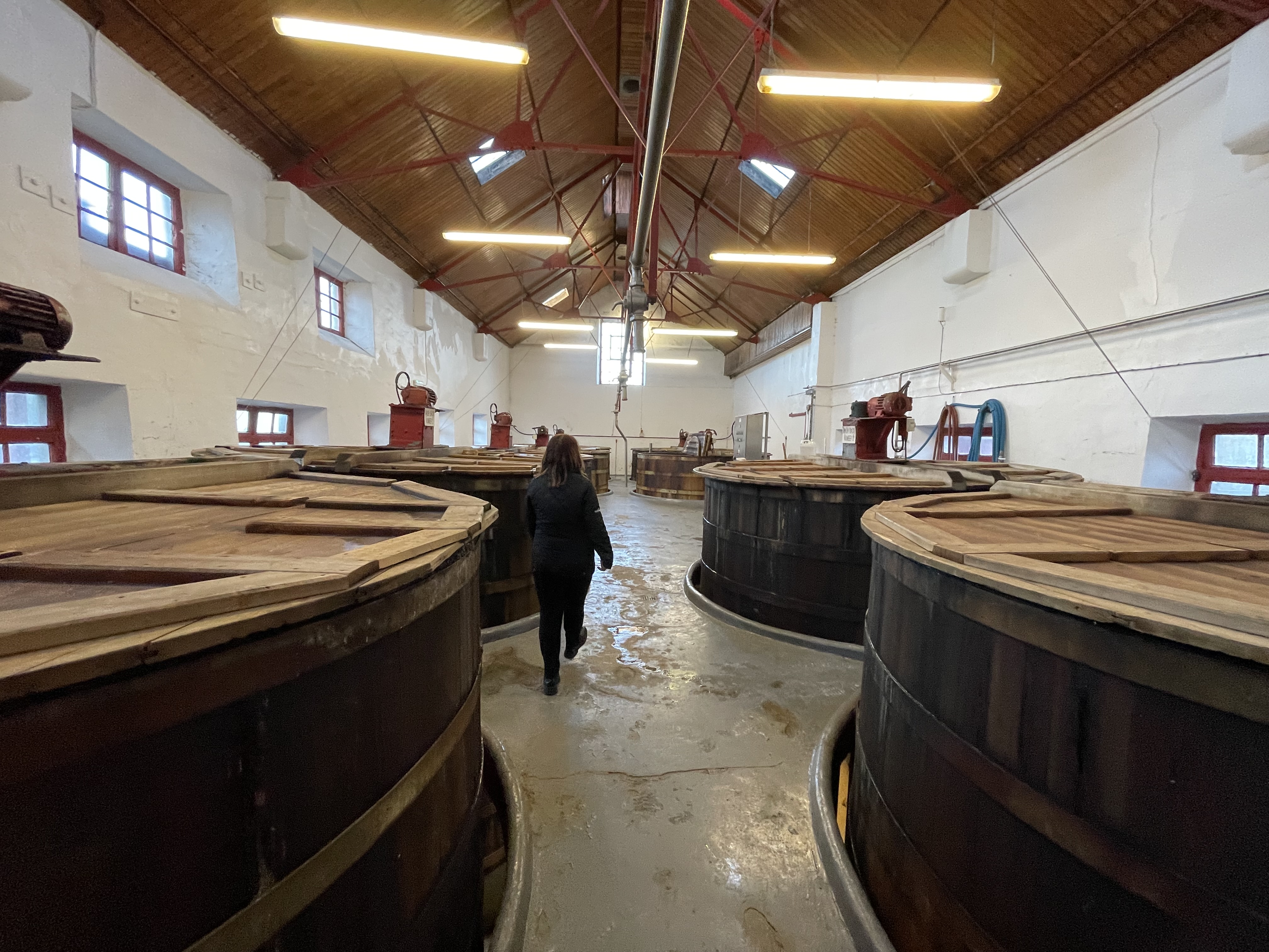 글렌드로낙 워시백