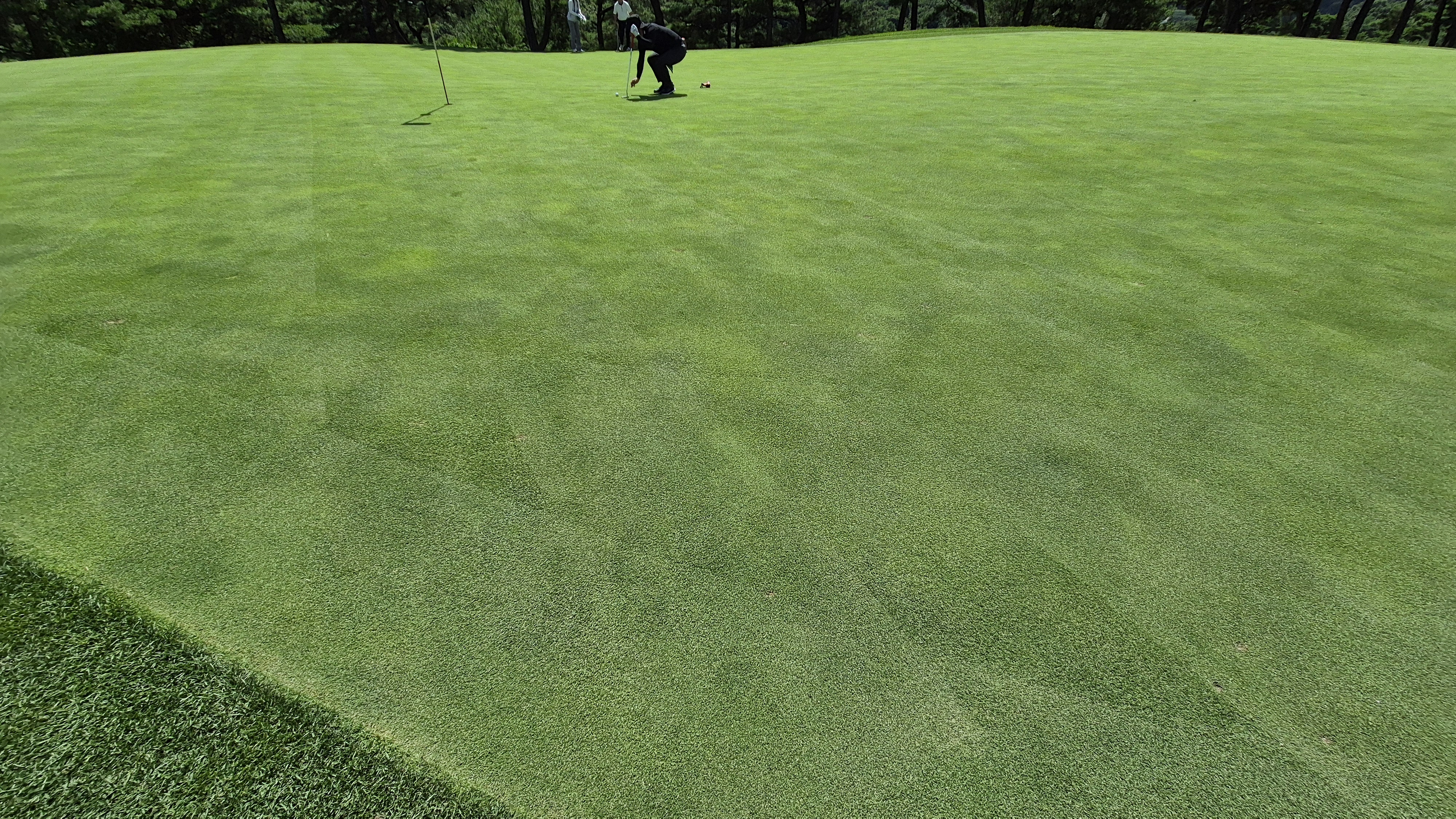 SG 아름다운cc 라운드 후기