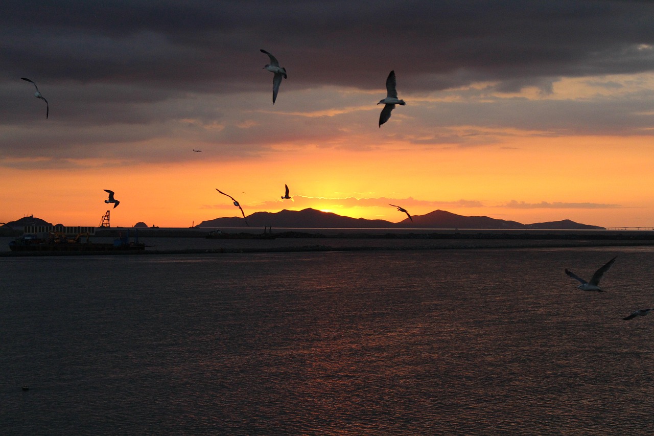 바다 보이는 송도 데이트 장소 관련 사진