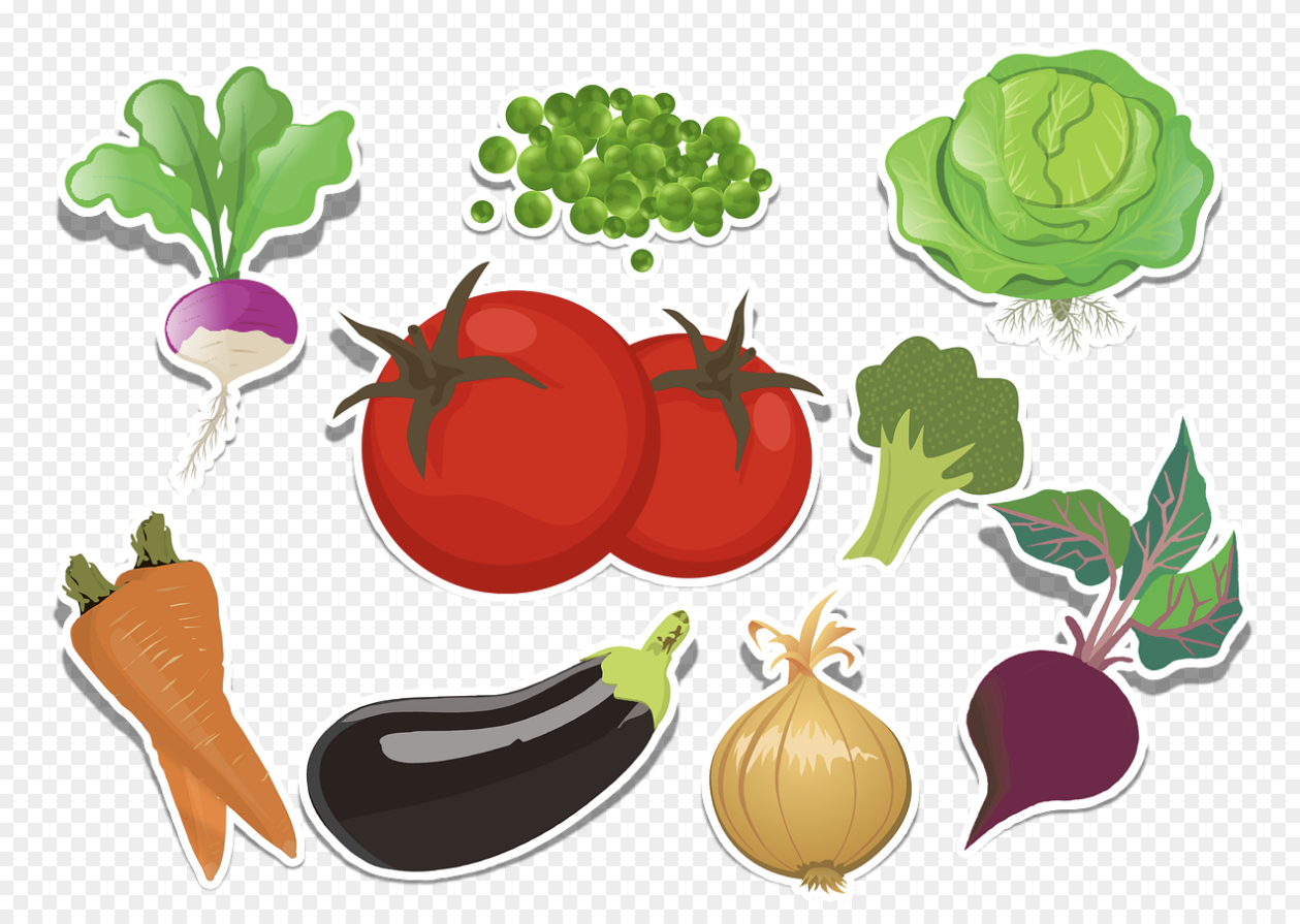 비건 식단으로 충분한 영양소를 섭취하는 법