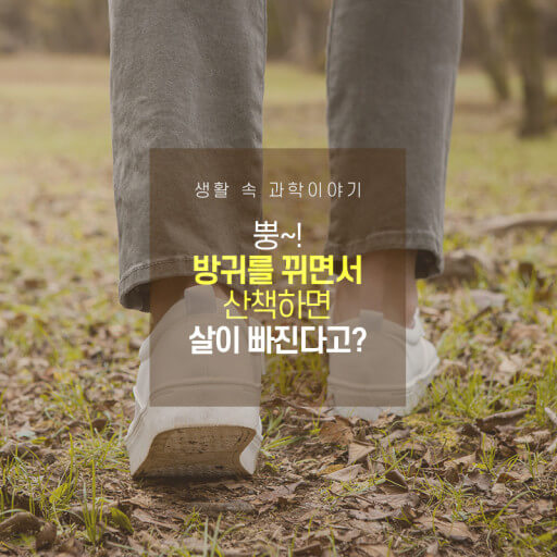 방귀 산책의 효과
