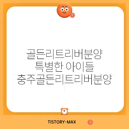 골든리트리버분양 특별한 아이들 충주골든리트리버분양