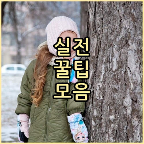 반려동물 안락사, 인도적인 선택을 위