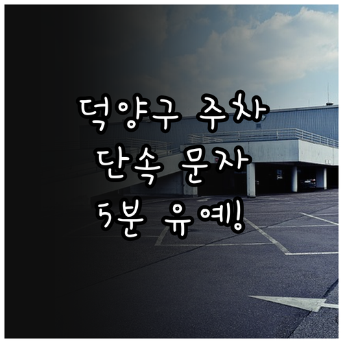 덕양구 주정차 단속 문자 서비스 신청..