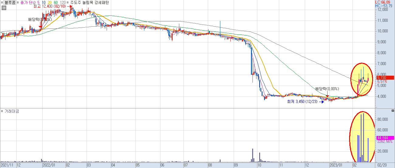 블루콤 일봉 차트
