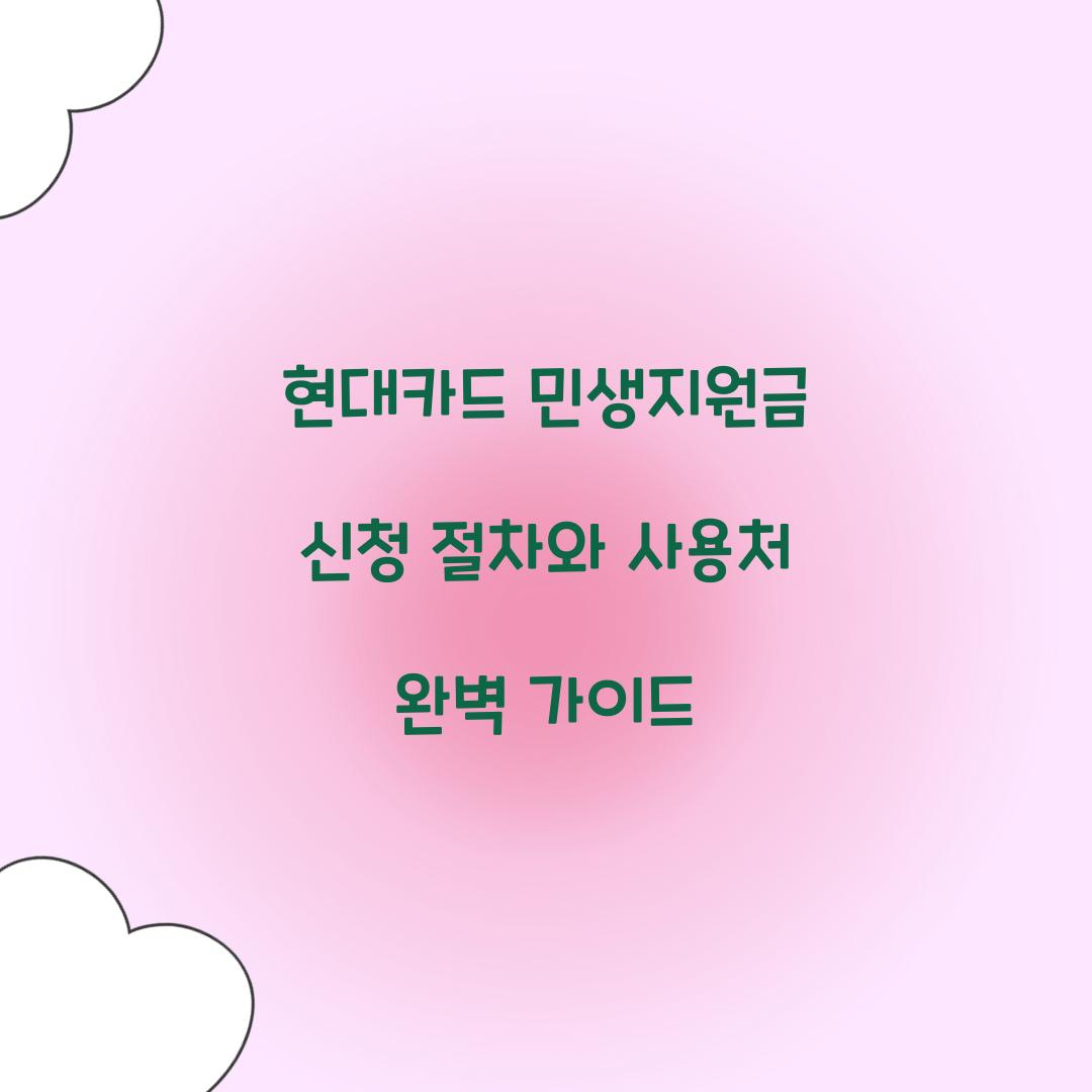 현대카드 민생지원금
