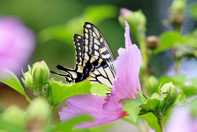재헌절 공휴일 폐지된 이유 및 현재 상황 