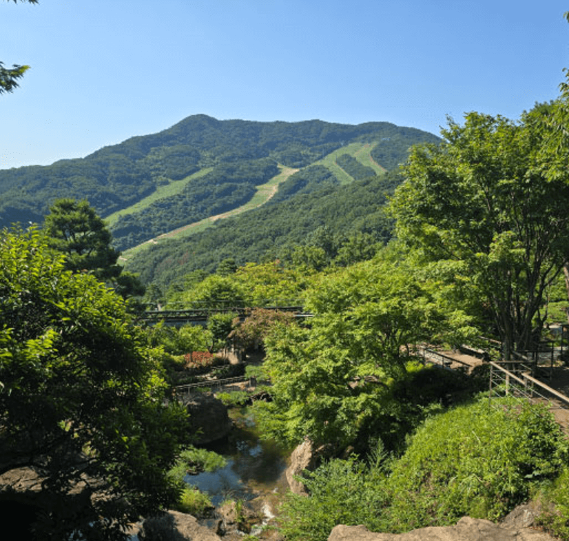 화담숲 예약 방법