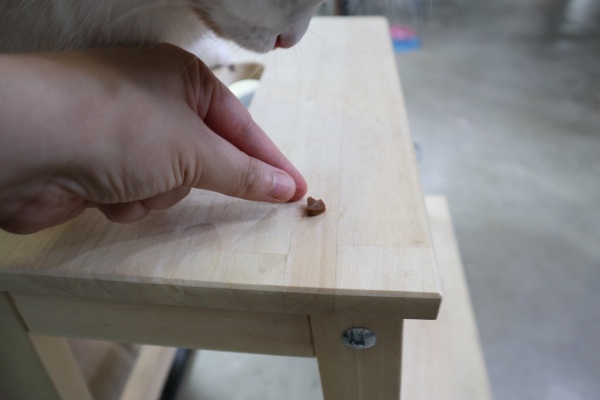 고양이간식후기