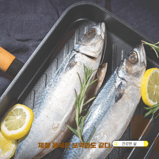 11월 제철 해산물