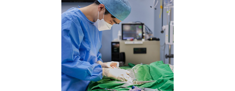 안양 동안구 동물병원