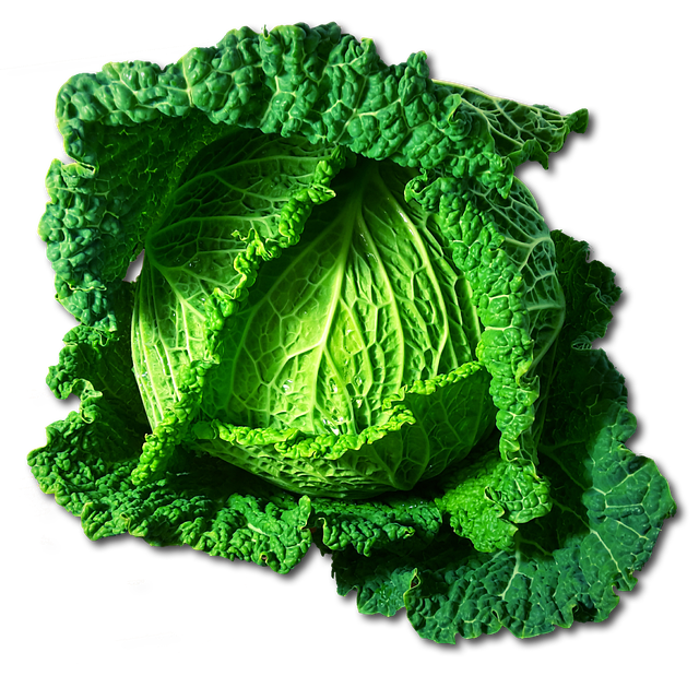 고랭지 절임배추 20kg