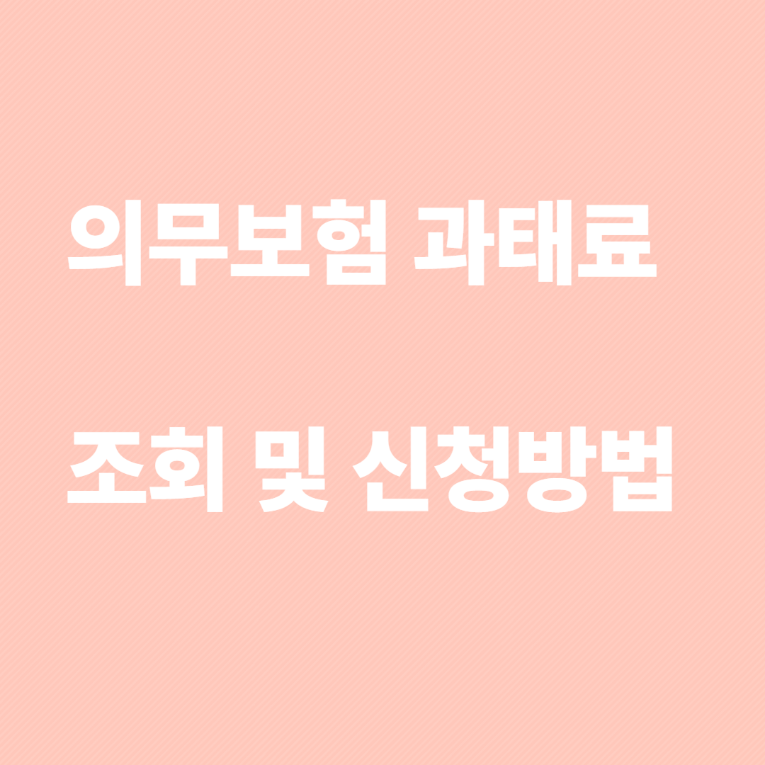 의무보험 조회 및 과태료 신청방법
