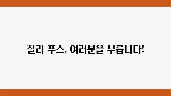 찰리푸스 내한 공연 정보 및 일정 안내
