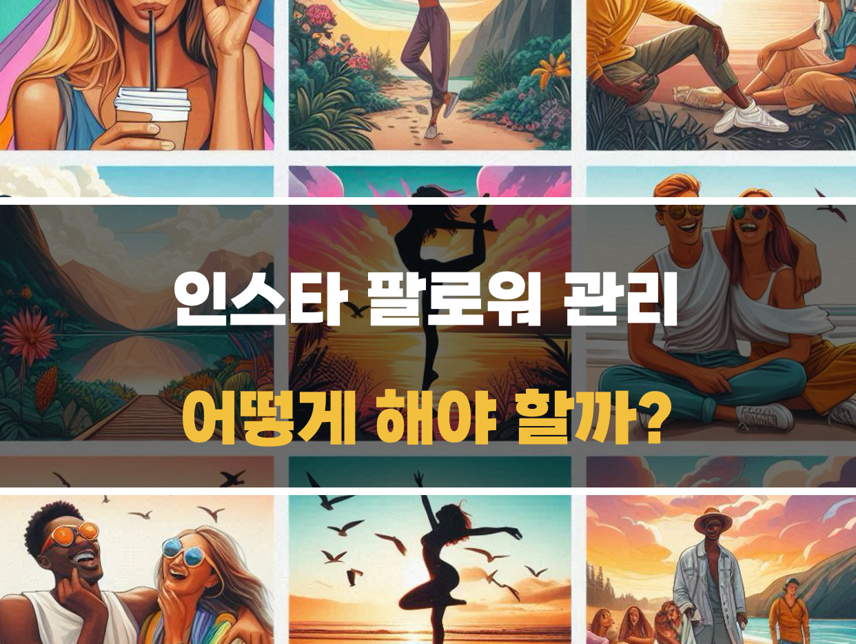 인스타 팔로워 관리