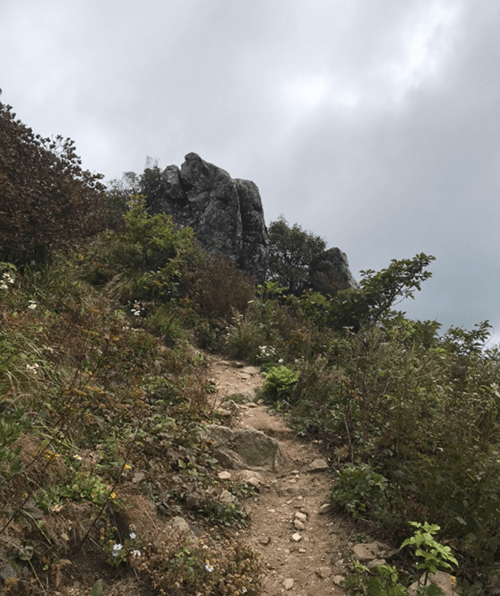 죽령09