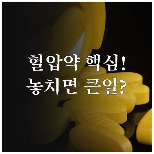 고혈압 약 복용 시 유의사항과 운동 ..