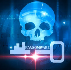 시티즌 코난 앱 설치방법 (갤럭시, 아이폰)