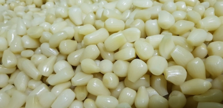 야생에서 채취를 한 염교를 깨끗하게 손질을 하고 세척한 것을 바닥에 수북하게 놓아둔 것을 확대를 하여 찍은 사진