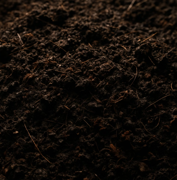 비결 2. 튼튼한 집 지어주기 (흙과 심기)