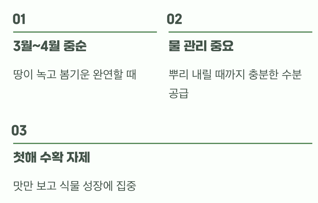 놓쳤다면 괜찮아, 봄 심기 (3월~4월)