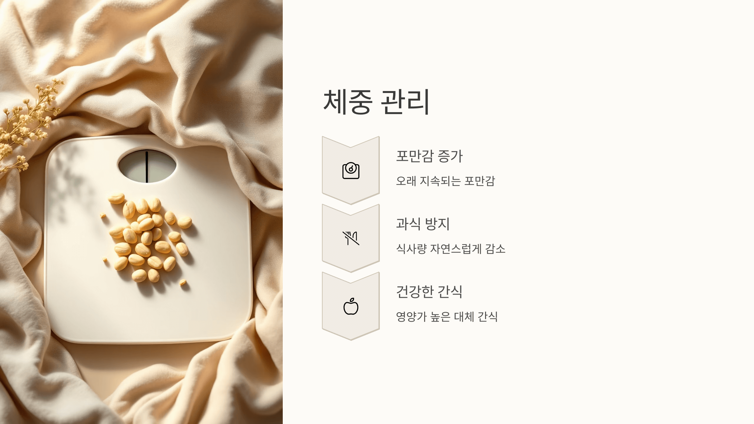 땅콩 사진입니다.