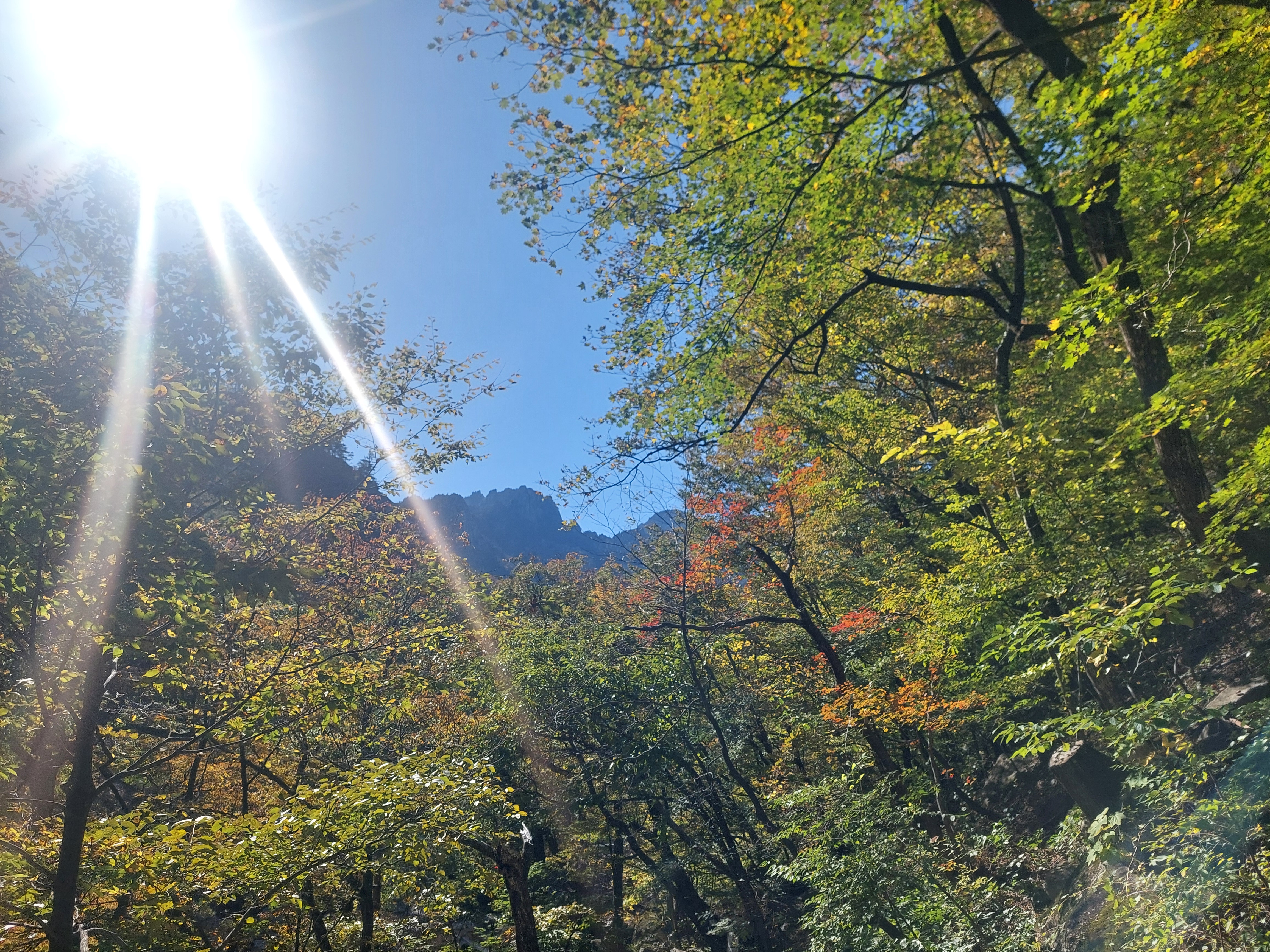 설악산