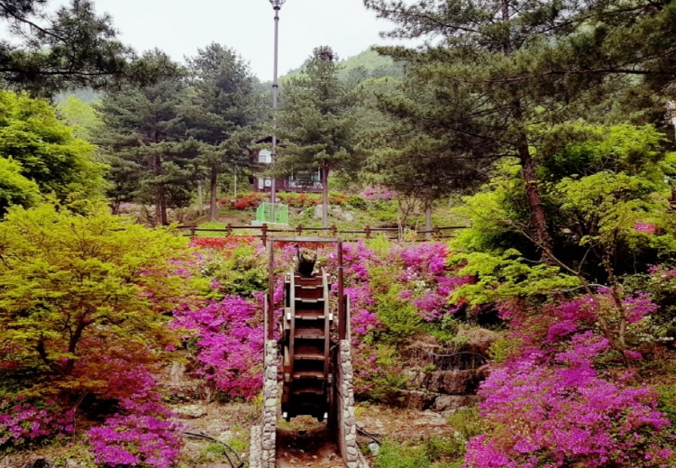 칼봉산 자연휴양림