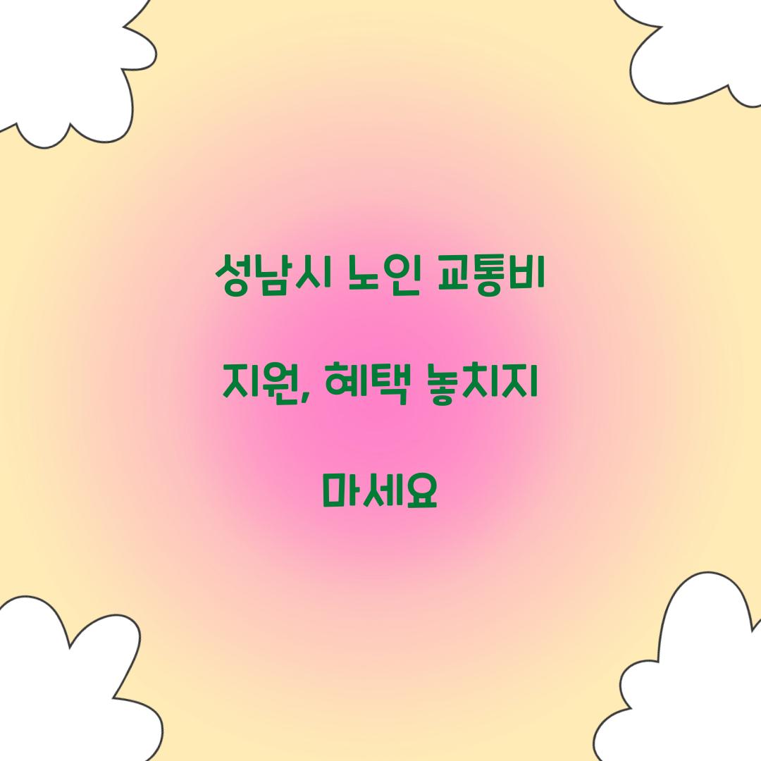 성남시 노인 교통비 지원