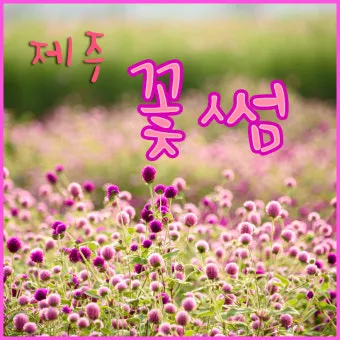 9월 제주 날씨 총정리 기온 비 일교차 옷차림 정보_10