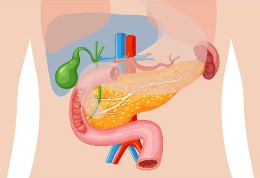 배에서-소리나는-이유-3