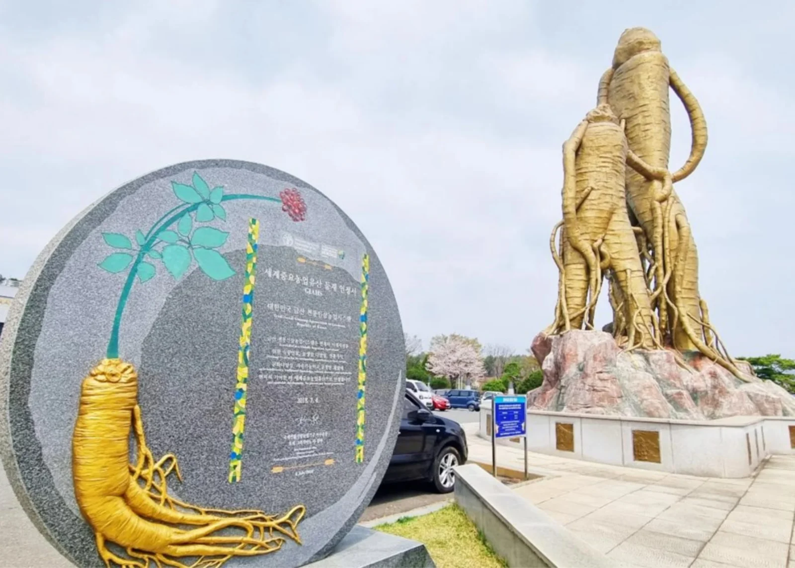 금산의 특산물 인삼을 거대한 조형물로 제작하여 금산역사문화박물관 앞에 세워놓은 모습이다.